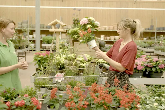 presentator Marijn Frank heeft plant in haar hand, in gezelschap van een verkoopster in een tuincentrum