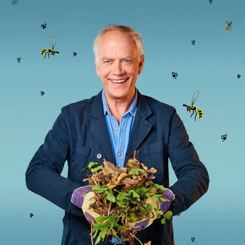 Stefan: 4x tips voor een insectvriendelijke tuin
