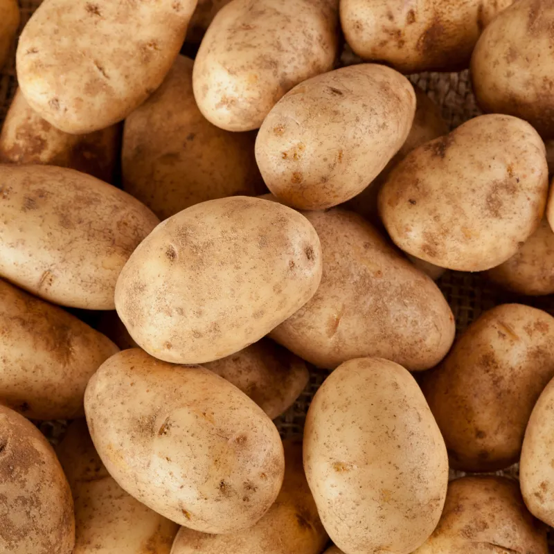 Onze Boerderij in Europa - aardappel - alles wat je wil weten