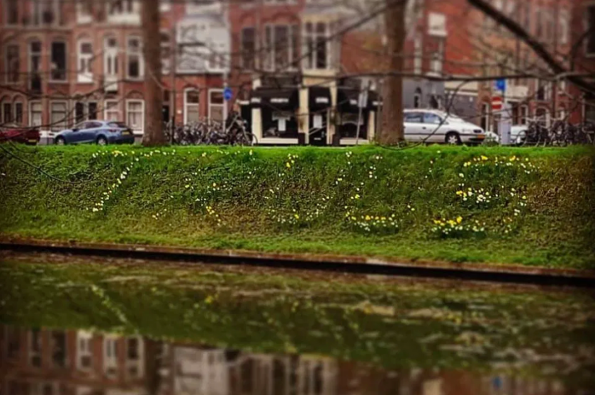 Het Narcissenmonument in Utrecht