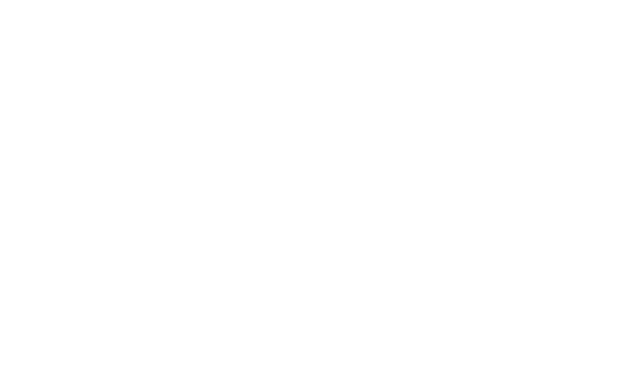 ZINA - Logo - Diapositief.png