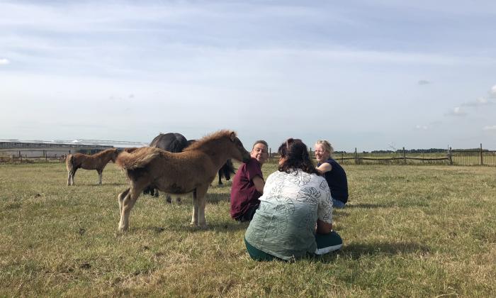 Boer zoekt Vrouw 2018: Boer Jaap met Petra en Marian bij de pony's2