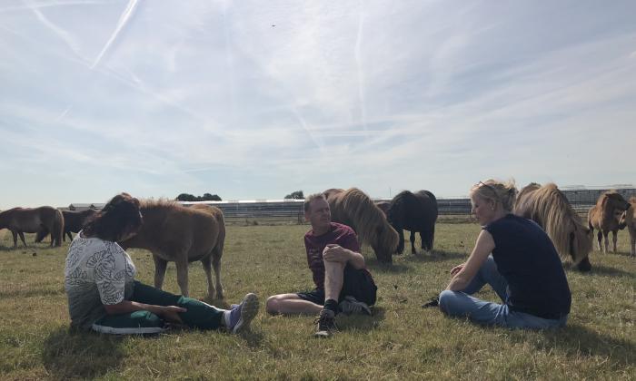 Boer zoekt Vrouw 2018: Boer Jaap, Petra en Marian bij de pony's