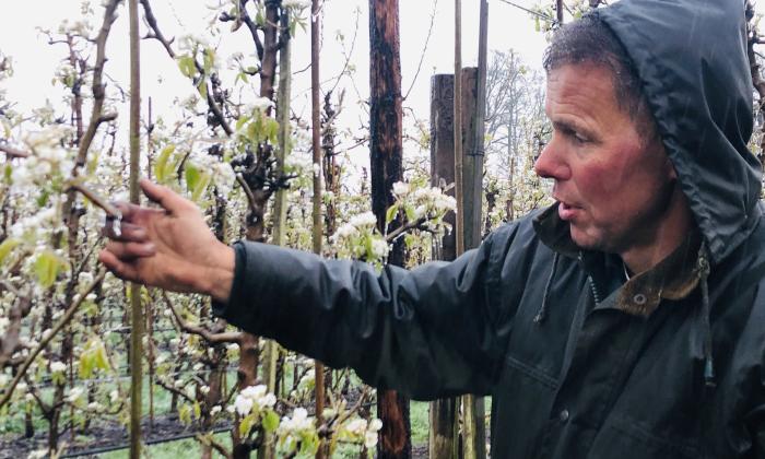 Onze boerderij 2019: fruitteler Izaak checkt bloesem
