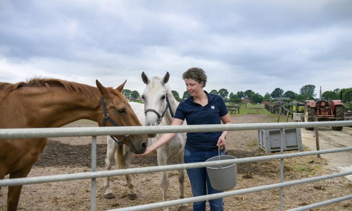 Boer zoekt Vrouw 2018 Boerin Steffi-voert-paarden-buiten-285verkleind