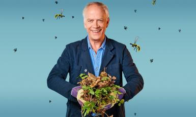 Stefan: 4x tips voor een insectvriendelijke tuin