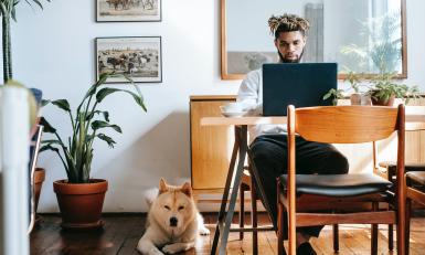man met hond in de woonkamer achter een laptop
